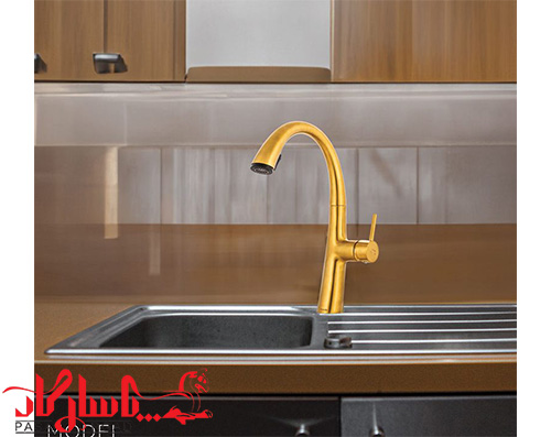 hoodin-hosed-faucet-golden-dior